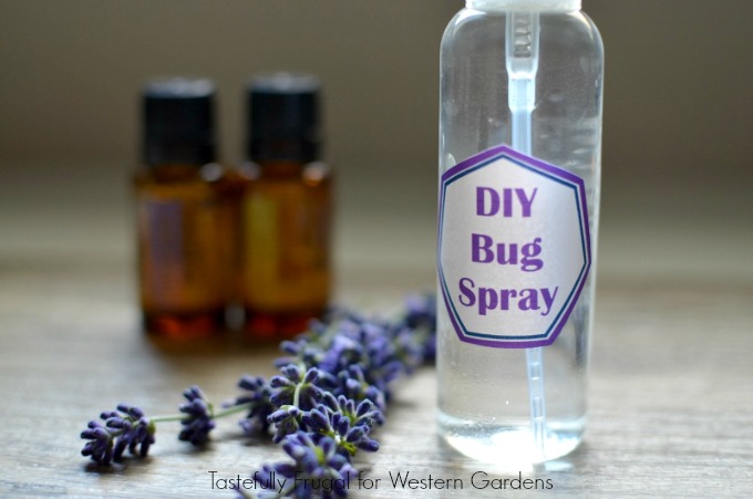 Kid Safe Bug Spray: Make your own bug spray at home in minutes and with just 4 ingredients!