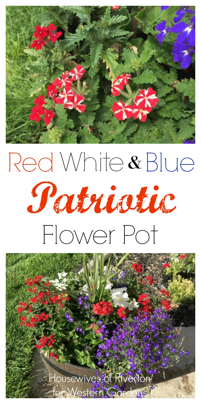 Red, White & Blue Flower Pots to dress up your patriotic 4th of July porch!