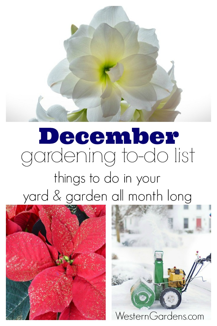 December Gardening To-Do List We know you're busy! So we've written down the things you don't want to have to remember. 