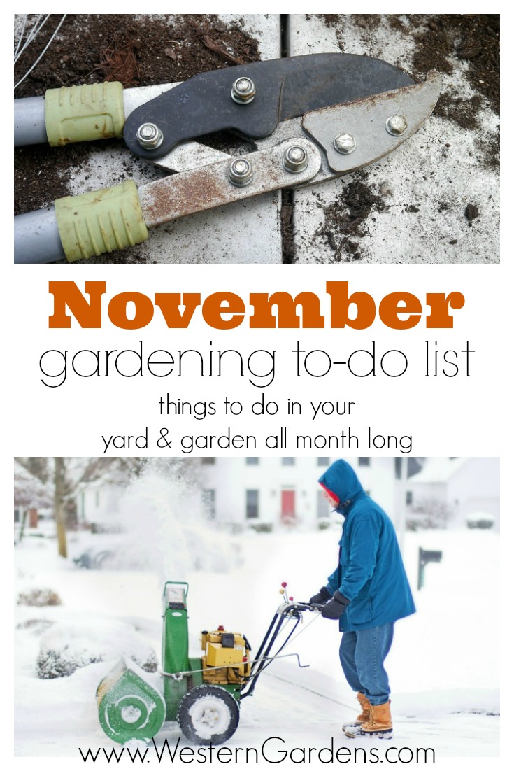 November Gardening To-Do List 