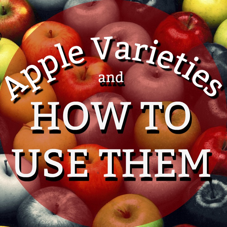 A basic breakdown of most popular apples and how to use them best.