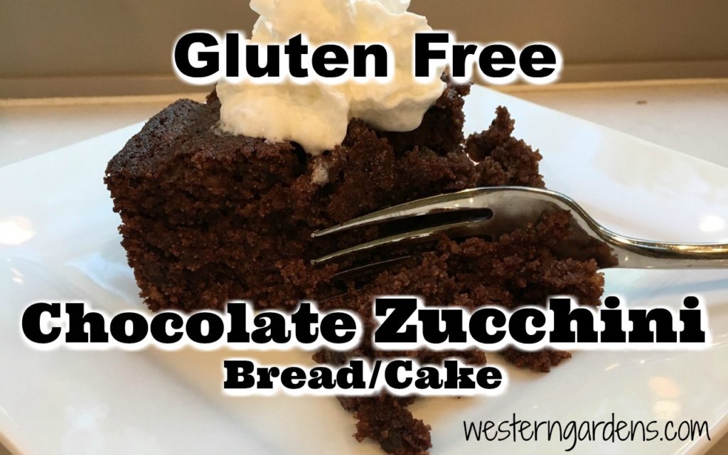 gluten-free chocolate zucchini bread-cake recipe