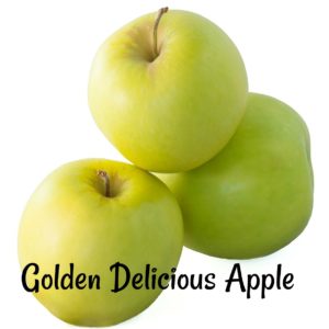 golden delicious apples for applesauce and/or apple butter