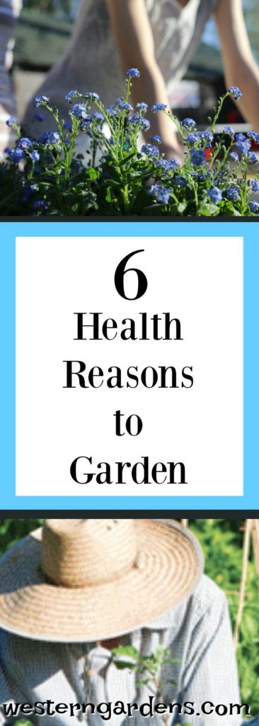Here are six good health reasons to garden, and save money at the doctor's office.