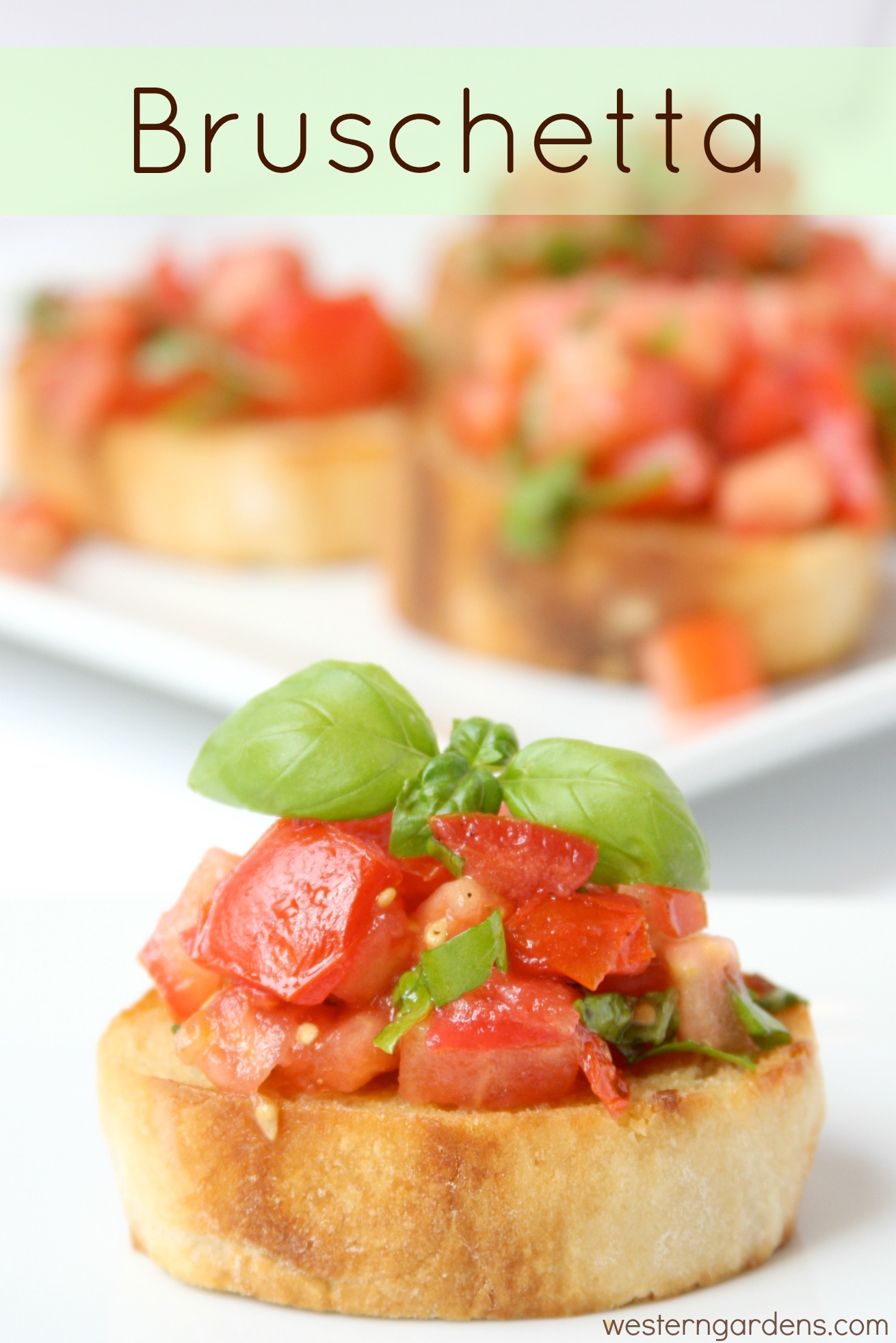 Bruschetta Western Garden Centers