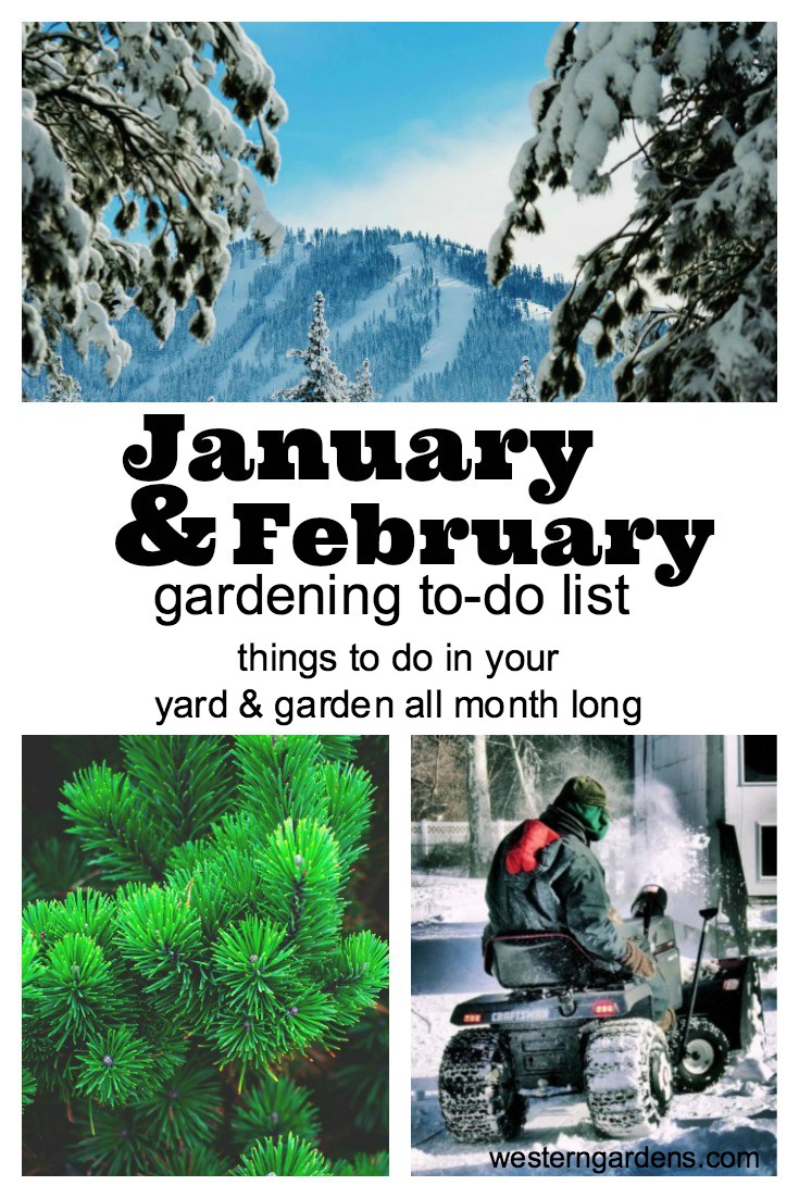 January February Gardening To Do List | Things to do in your yard and garden all month long