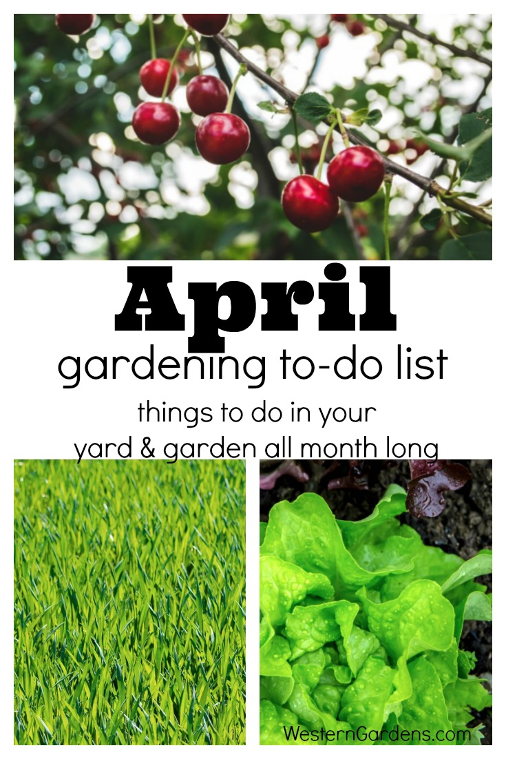 April Gardening To-Do List | Easy Garden Tips | How to Garden in Utah | Beginning Gardener