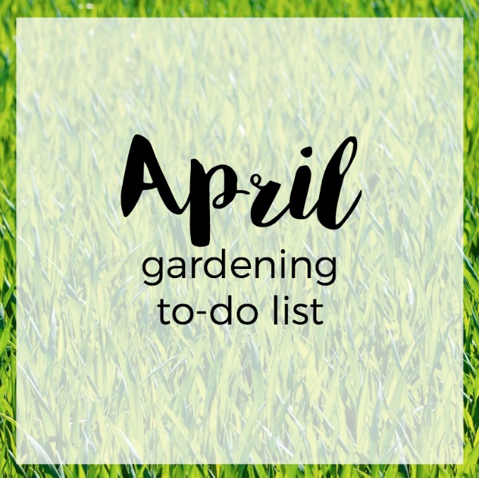 Utah Gardening To-Do List in April | Easy Garden Tips | How to Garden in Utah | Beginning Gardener
