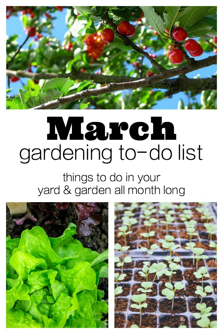 March Gardening To Do List | Things to do in your yard and garden all month long