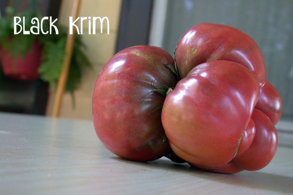 The Black Krim tomato can have dark skin and flesh