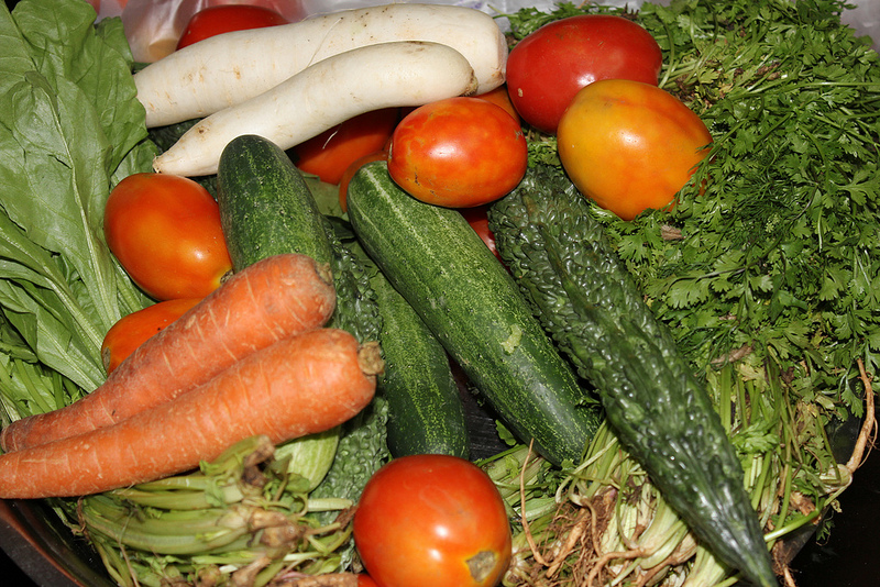 plan your vegetable garden now for a great harvest later