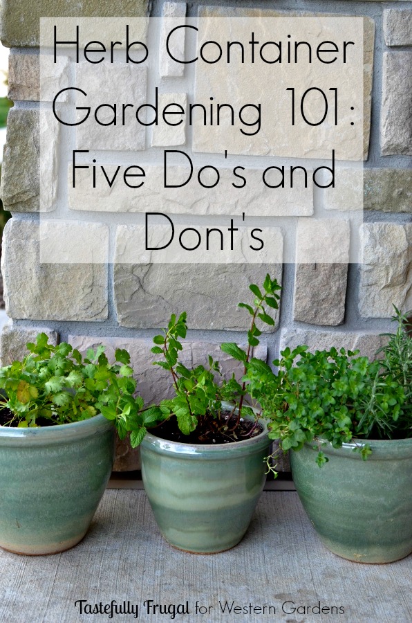 5 Dos And Don Ts For Planting Herbs, How To Grow Herb Container Garden