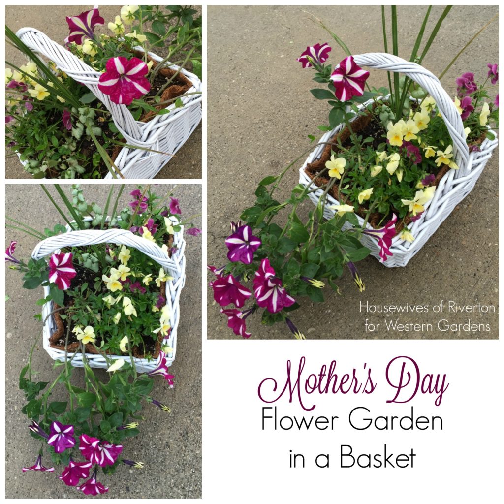 Mother's Day flower garden in a basket