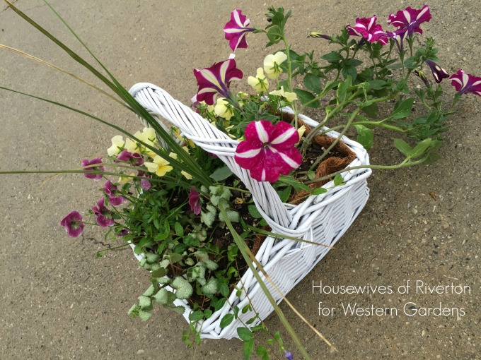 Looking for a simple but beautiful gift for Mom? Try this Mother's Day Flower Garden in a Basket!