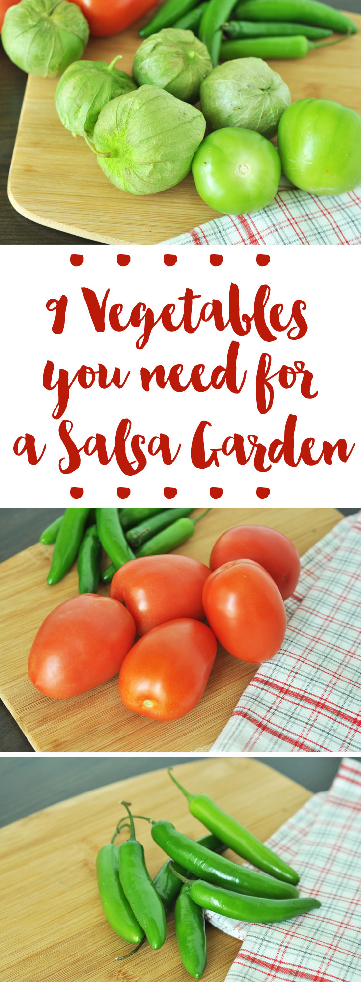 Love Salsa? Plant a salsa garden and make it fresh! 9 Veggies you need in your Salsa Garden! www.westerngardens.com