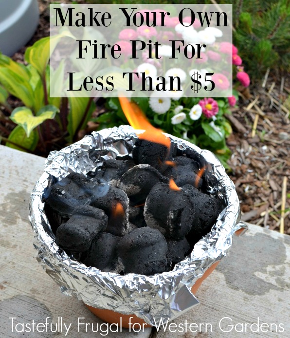 DIY Fire Pit: Make Your Own Campfire At Home For Less Than $5 | Western Gardens