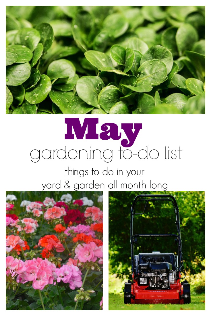 May Gardening To-Do List for all the things you don't want to forget (but don't have time to remember!)