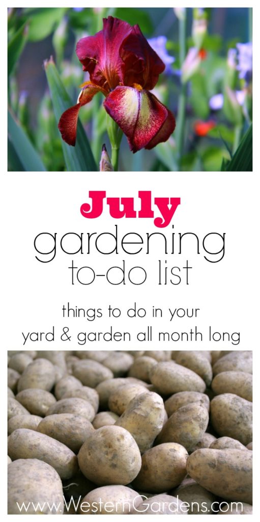 July Gardening ToDo List Western Garden Centers