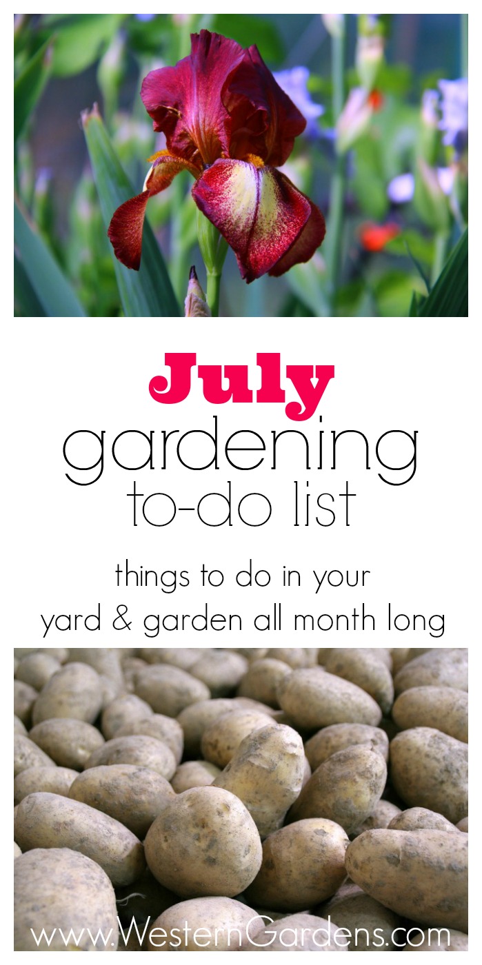 July Gardening To Do List, so you can easily keep up with your yard & garden! Because you’re busy and need one less thing to worry about.
