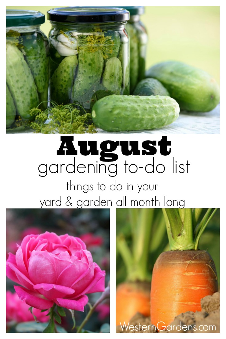 August Gardening To-Do List