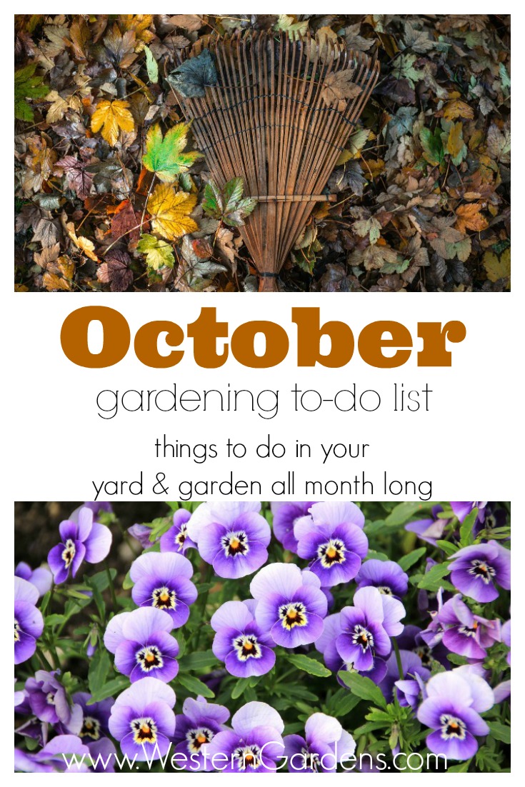 October Gardening To-Do List