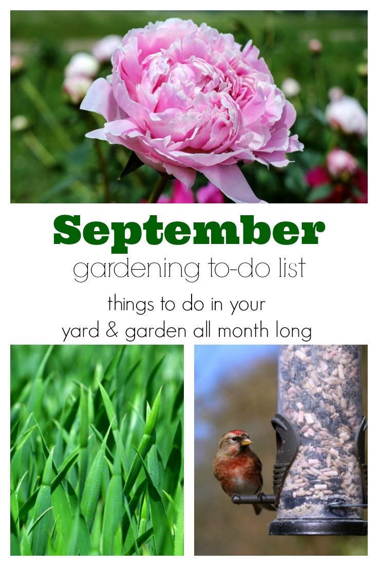 September Gardening To-Do List