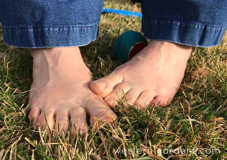 barefoot in grass
