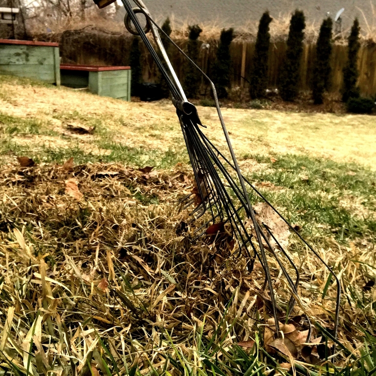 rake grass to stop snow mold from growing