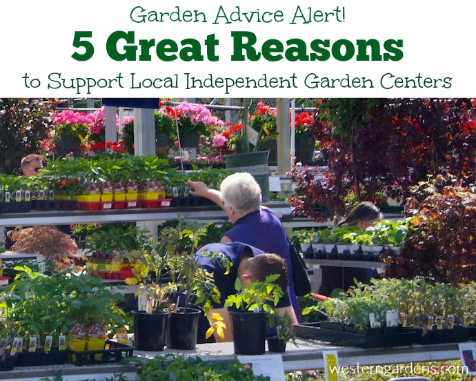 Gardeners shopping a local independent garden center