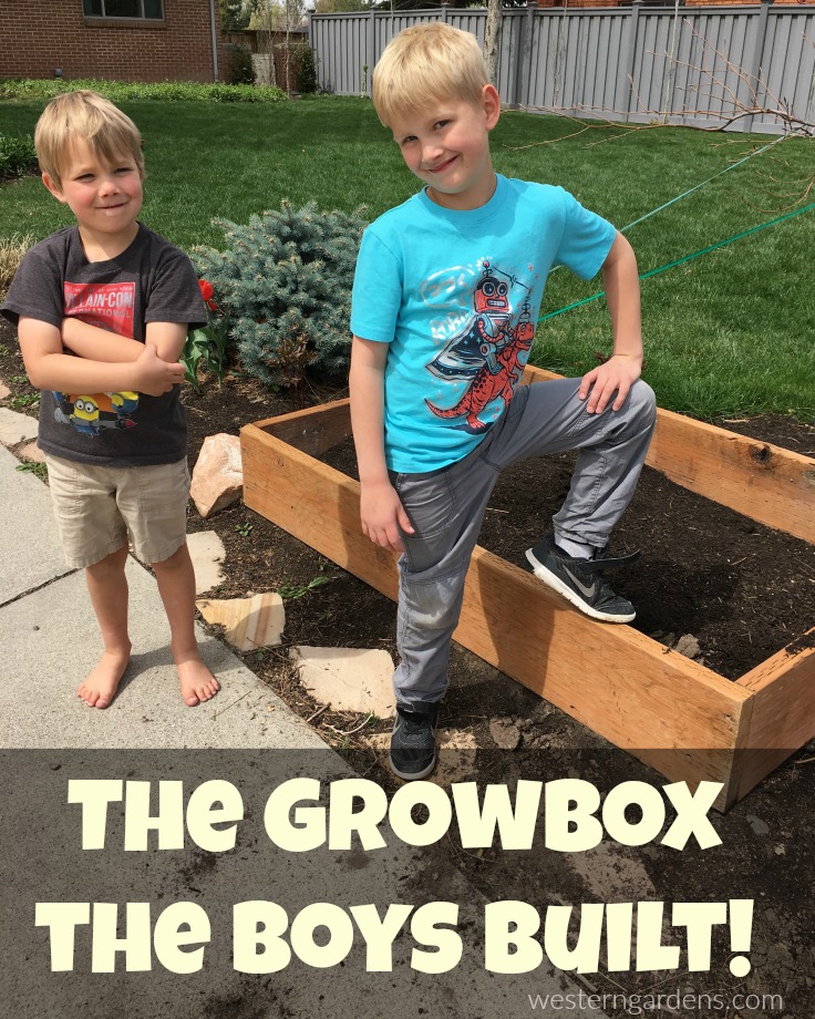simple garden grow box built by kids