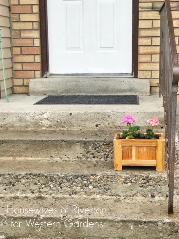 Planter box with living flowers on front porch stairs of house