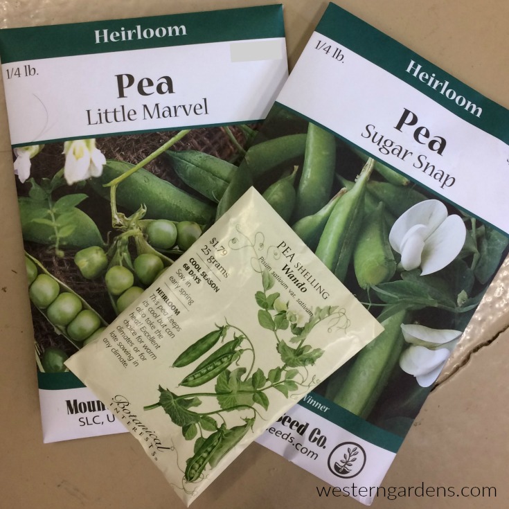 Find quality seeds of peas to plant at Western Garden Centers, garden shop in Utah