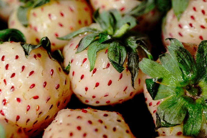 If you like the taste of pineapple, try a pineberry for a sweet treat