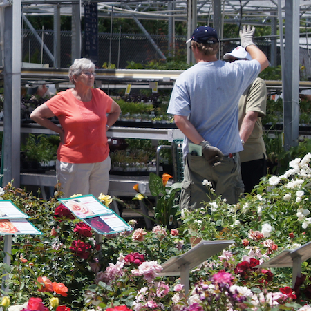 garden center employee helping customers n the roses