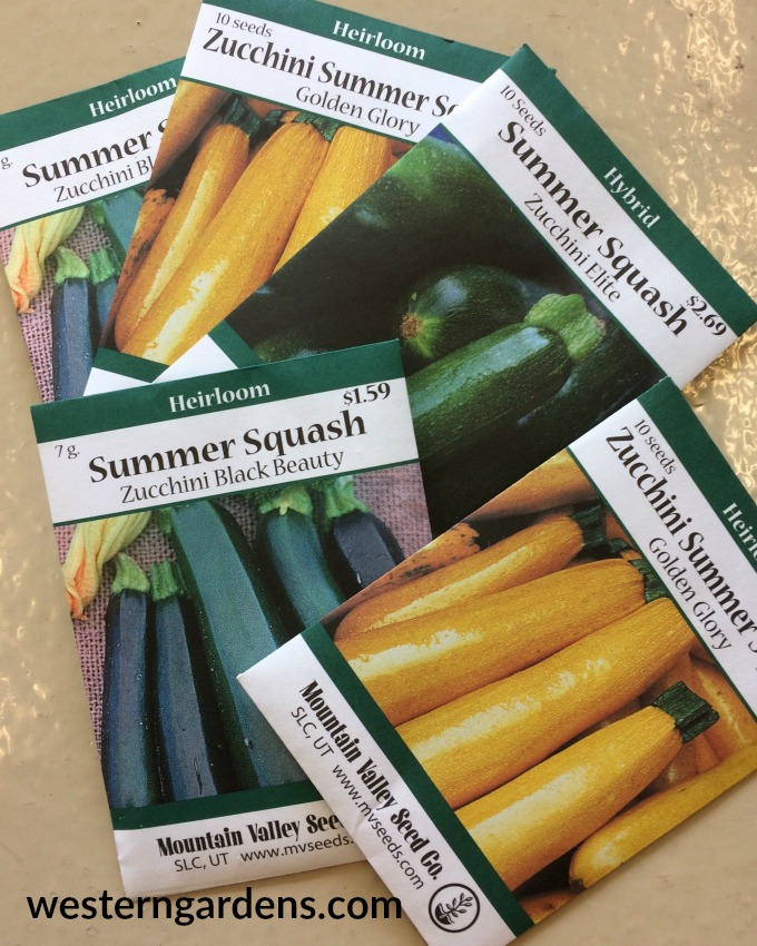 several varieties of zucchini seed packets