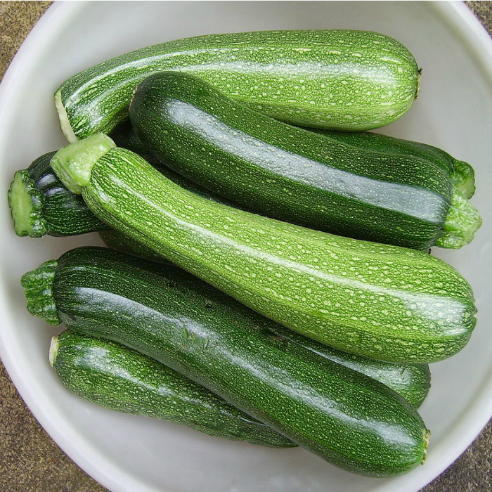 zucchini plants make all kinds of delicious dishes. phone order with curbside pickup