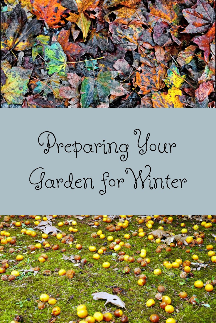 There are steps you should take when you are preparing your garden for winter