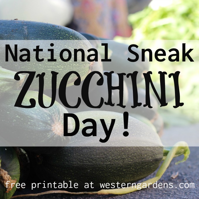 National Sneak Some Zucchini Onto Your Neighbor's Porch Day Western