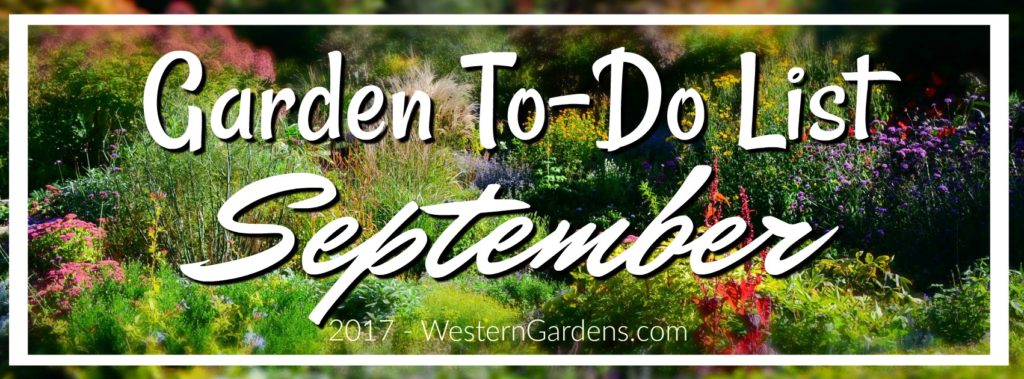 Garden To-Do List for September Western Gardens