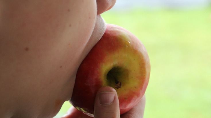 Take a bite of a crisp apple from the apple tree