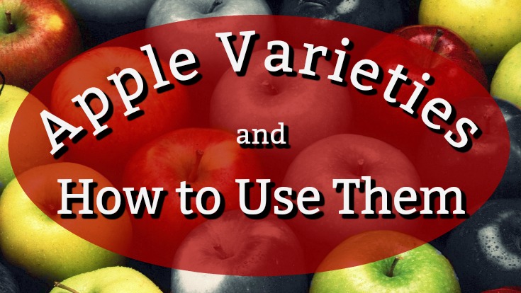 Breakdown of apple varieties and how to use them