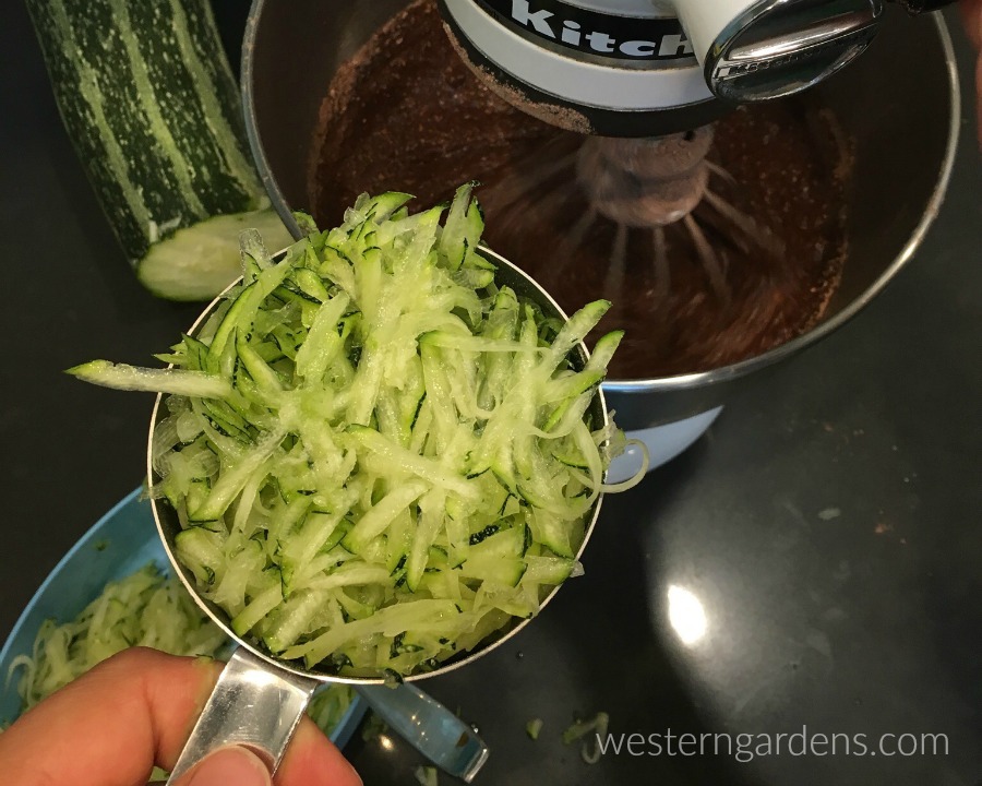 Nothing like freshly grated zucchini for zucchini bread!