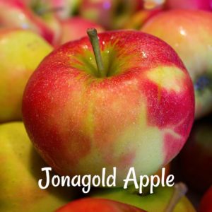 Use jonagold apples for applesauce and apple butter
