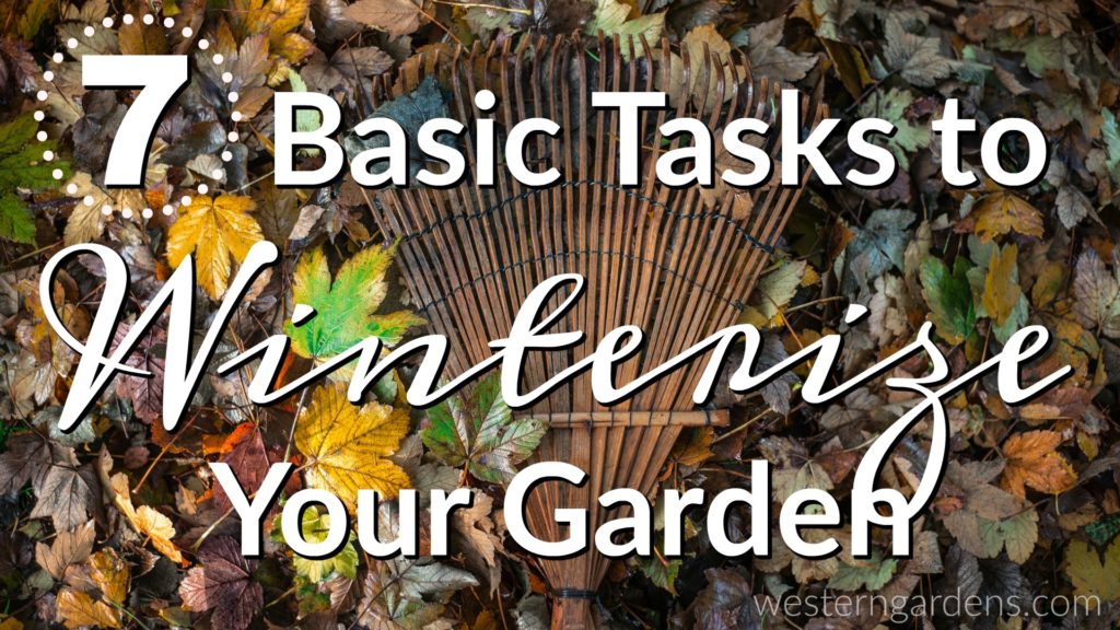 Learn 7 basic task areas for winterizing your Utah garden in October - zone 5