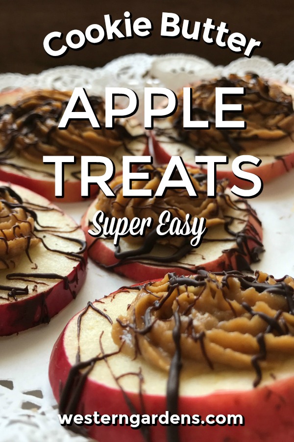 cookie butter apple treats