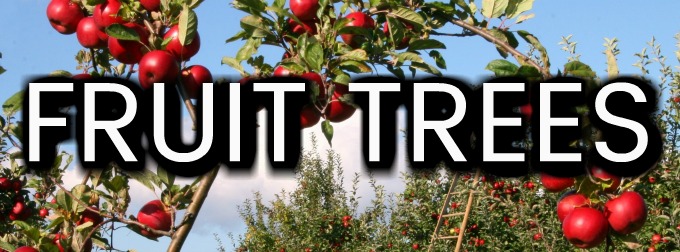 fall pruning your utah fruit trees
