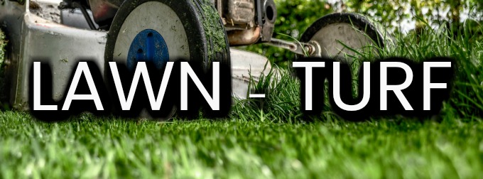 fall mowing your lawn for winter