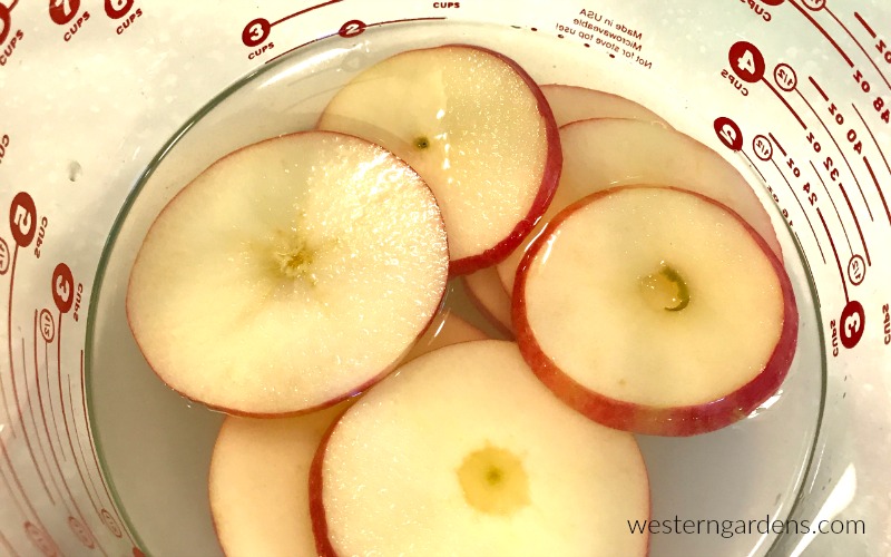 soak your sliced apples in salt water or lemon water so that they won't turn brown.
