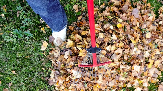 The winterize your garden in October list includes cleaning up the leaves and debris from flower and vegetable beds.