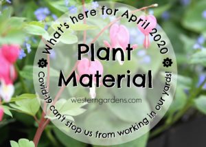 Plant material at western garden centers utah